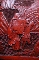 CHINESE RED LACQUER VASE QIANLONG period.37.5 cm. foto 8.2